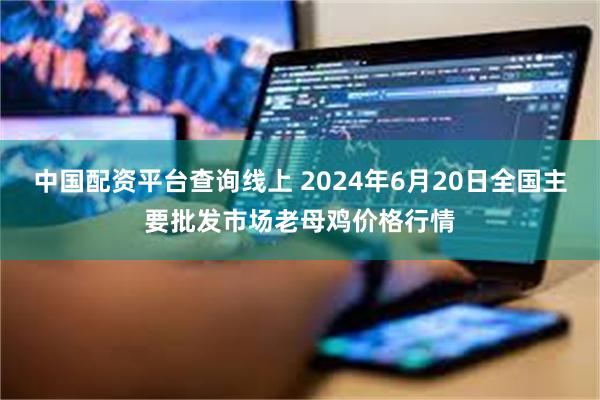 中国配资平台查询线上 2024年6月20日全国主要批发市场老母鸡价格行情