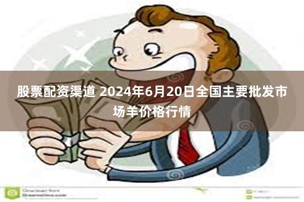 股票配资渠道 2024年6月20日全国主要批发市场羊价格行情