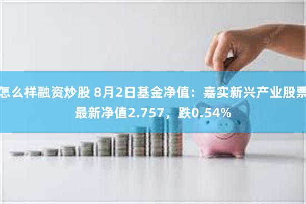 怎么样融资炒股 8月2日基金净值：嘉实新兴产业股票最新净值2.757，跌0.54%