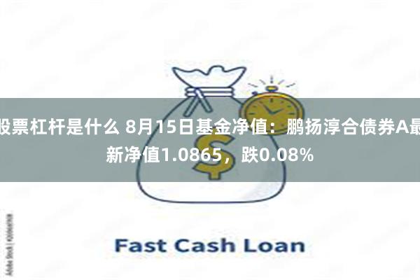 股票杠杆是什么 8月15日基金净值：鹏扬淳合债券A最新净值1.0865，跌0.08%