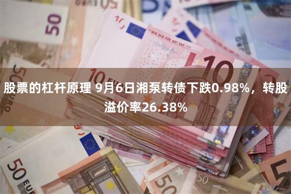 股票的杠杆原理 9月6日湘泵转债下跌0.98%，转股溢价率26.38%