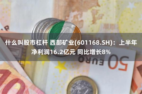 什么叫股市杠杆 西部矿业(601168.SH)：上半年净利润16.2亿元 同比增长8%