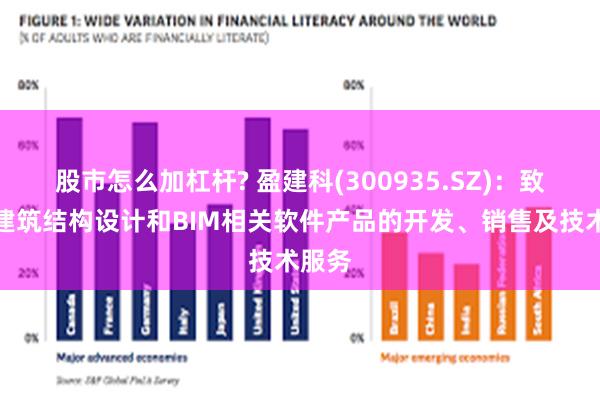 股市怎么加杠杆? 盈建科(300935.SZ)：致力于建筑结构设计和BIM相关软件产品的开发、销售及技术服务