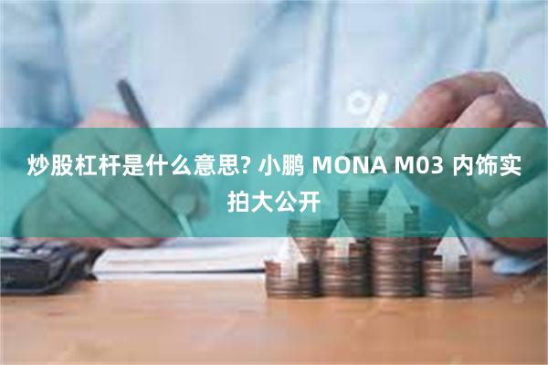 炒股杠杆是什么意思? 小鹏 MONA M03 内饰实拍大公开