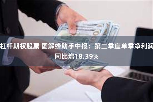 杠杆期权股票 图解蜂助手中报：第二季度单季净利润同比增18.39%