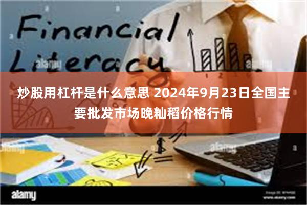 炒股用杠杆是什么意思 2024年9月23日全国主要批发市场晚籼稻价格行情