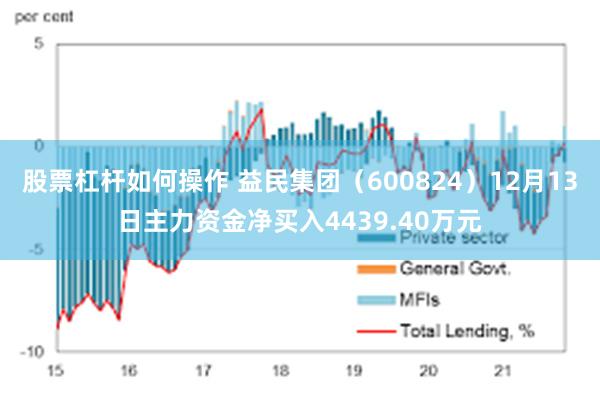 股票杠杆如何操作 益民集团（600824）12月13日主力资金净买入4439.40万元