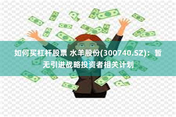 如何买杠杆股票 水羊股份(300740.SZ)：暂无引进战略投资者相关计划