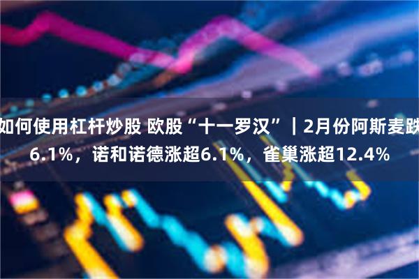 如何使用杠杆炒股 欧股“十一罗汉”｜2月份阿斯麦跌6.1%，诺和诺德涨超6.1%，雀巢涨超12.4%